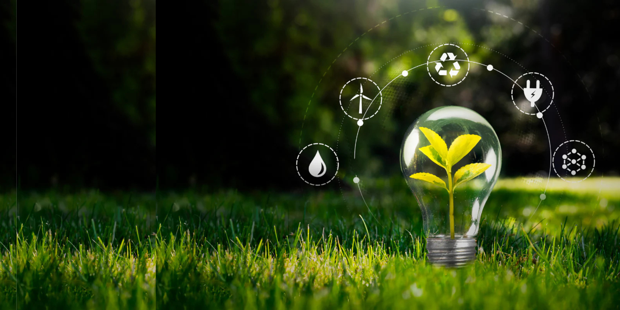 ZWC Solutions sustainability insights blog