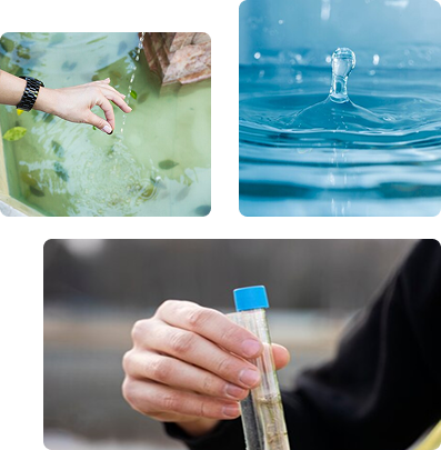 Water audit cost reduction — ZWC Solutions
